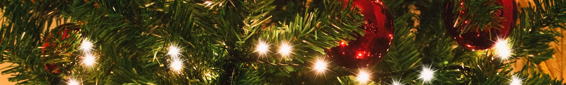 EGA Service GmbH EGA Service GmbH